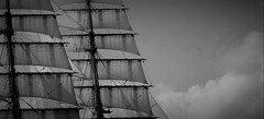 only the winds