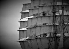 only the winds