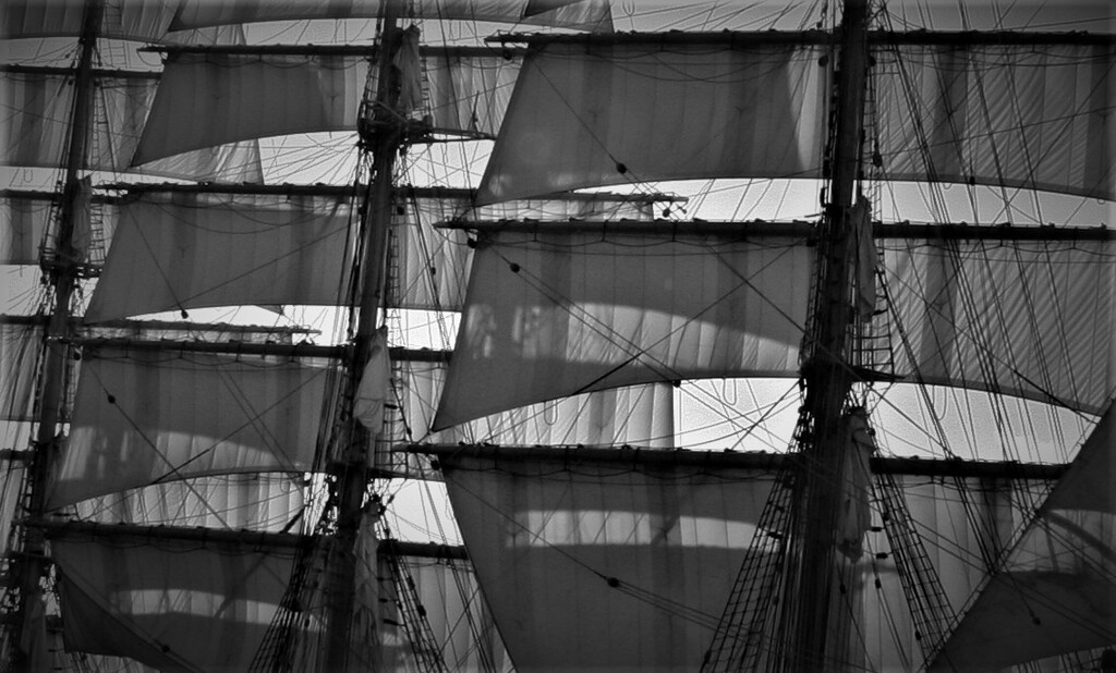 only the winds