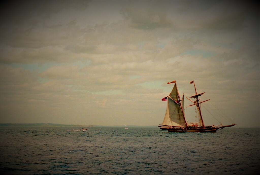 Sea shanty　が聞こえる