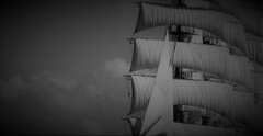 only the winds