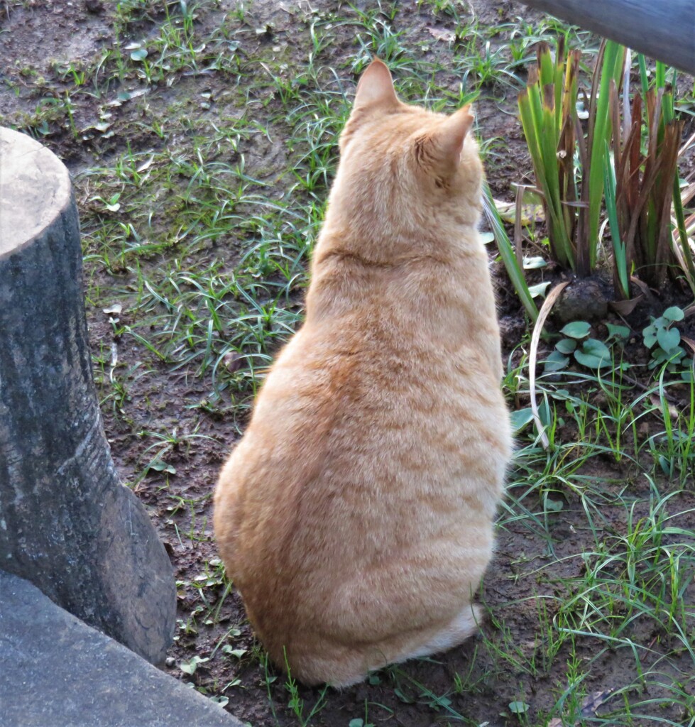 そっとおやすみ