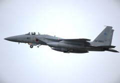 静浜の春　2024
