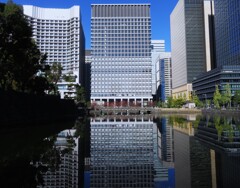 冬の日に映え