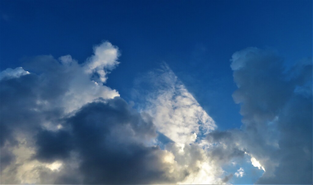 夏雲カット