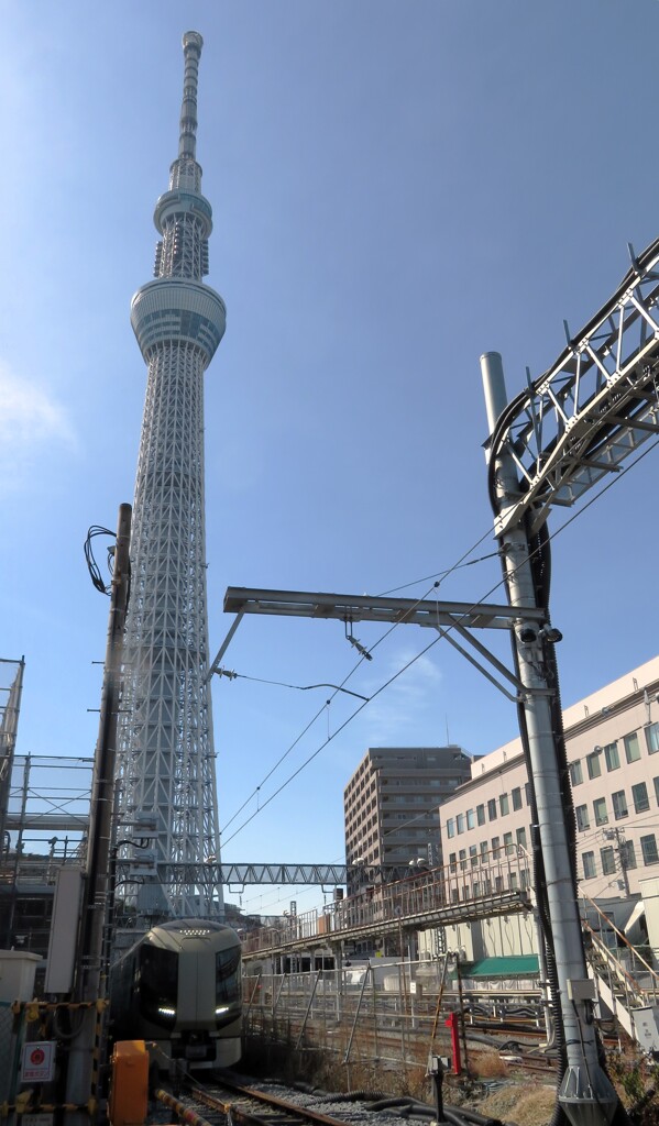 俺たちのスカイツリー