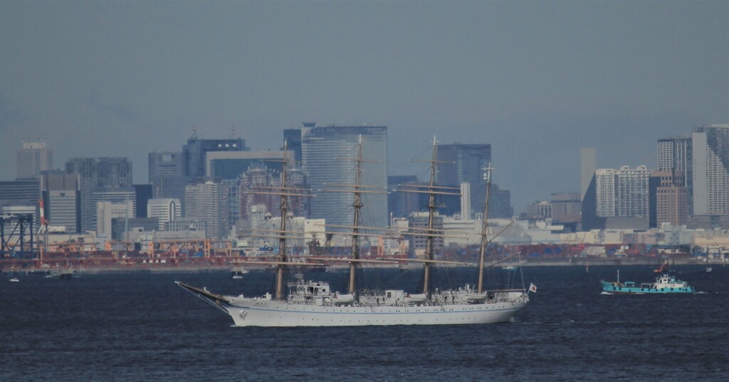 TOkIOの沖を行く