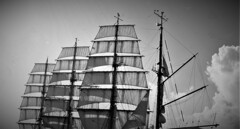only the winds