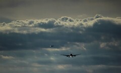 ある朝　羽田空港にて