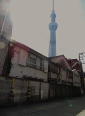 俺たちのスカイツリー