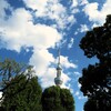 俺たちのスカイツリー