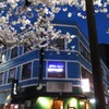 桜バー