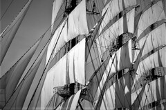 only the winds