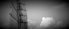 only the winds