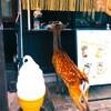 来客
