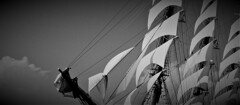 only the winds