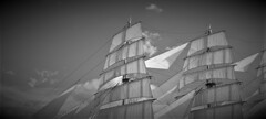 only  the  winds