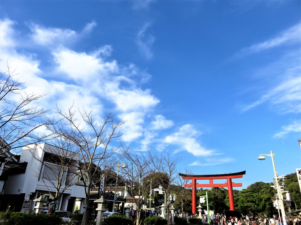 あの日、鎌倉は青空だった