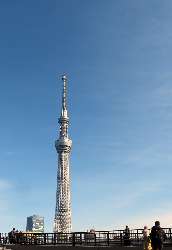 俺たちのスカイツリー