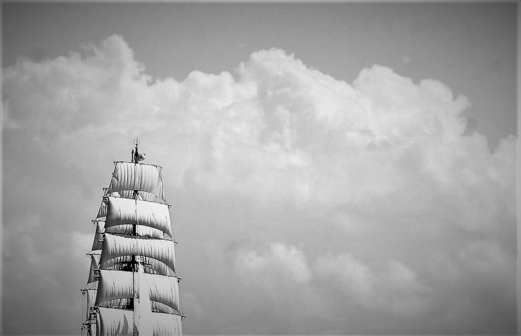 only the winds