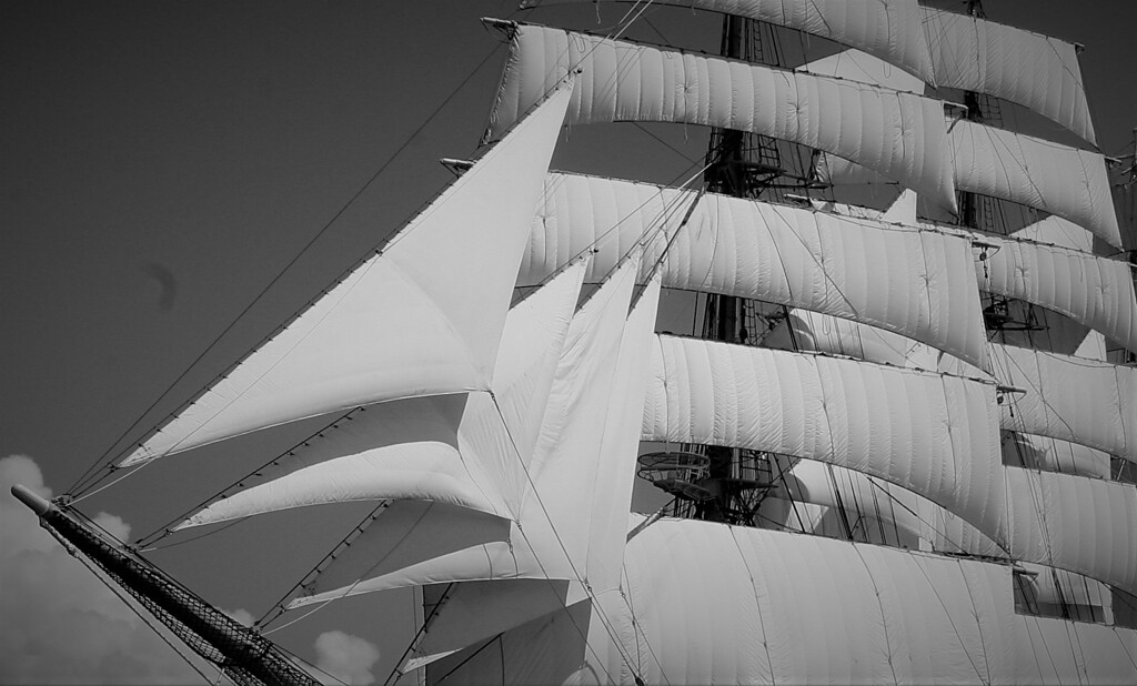 only the winds