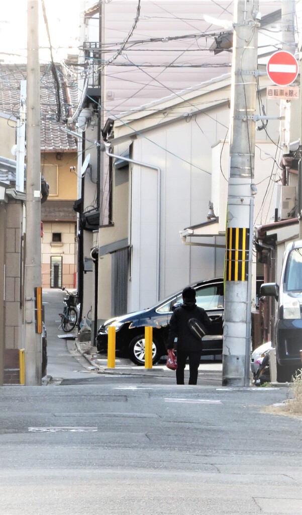 豊太閤の夢の跡～伝・聚楽第西外堀跡の凹