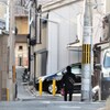 豊太閤の夢の跡～伝・聚楽第西外堀跡の凹