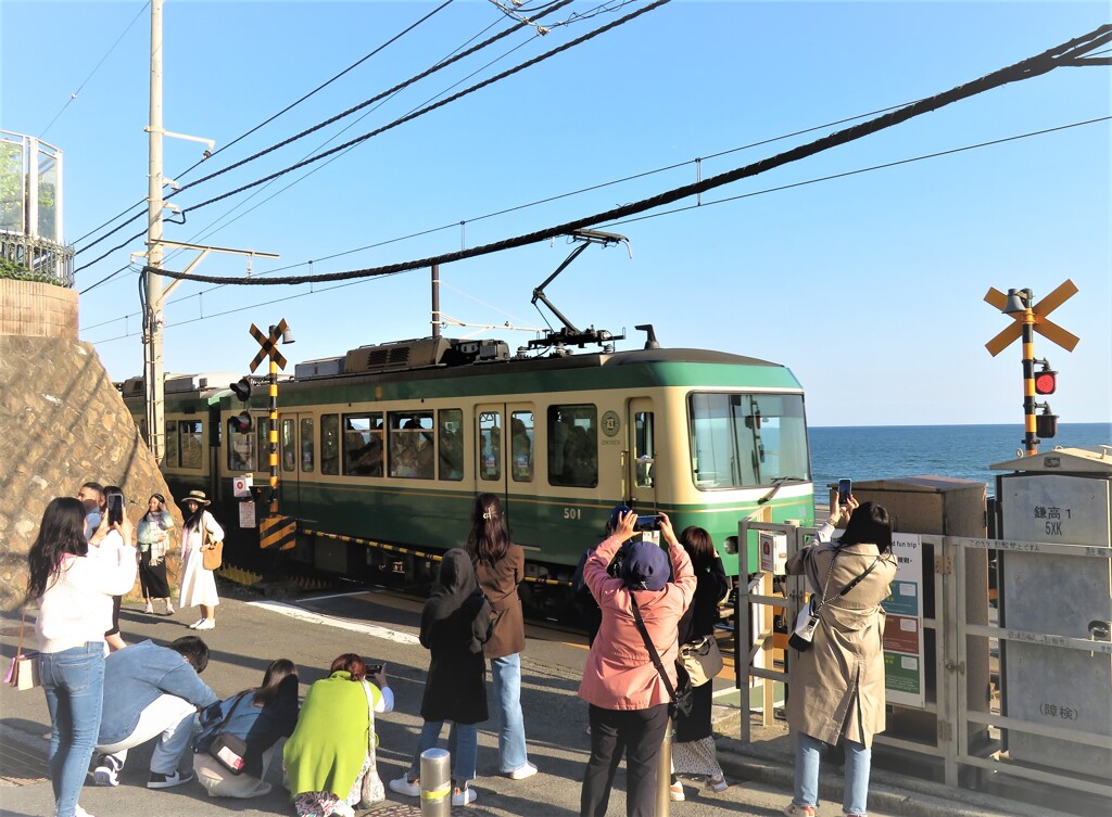湘南のアイドル！～江ノ電のいる風景