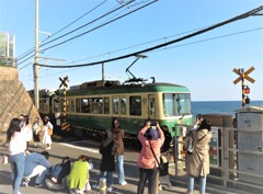 湘南のアイドル！～江ノ電のいる風景