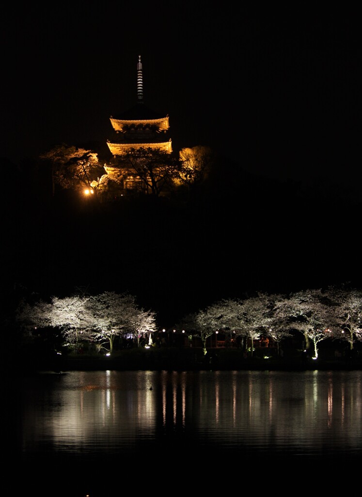 夜の三渓園