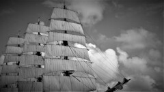 only the winds