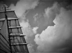only the winds