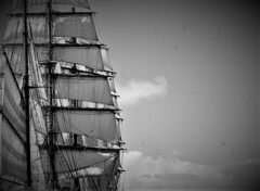 only the winds