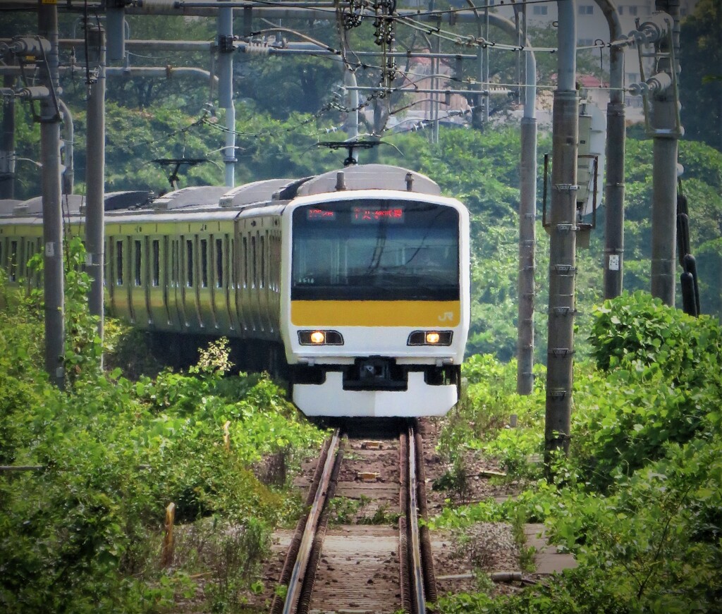 まさか・TOKYO