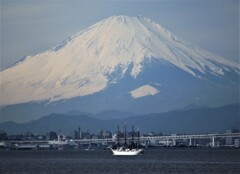 富士とお船を見比べて