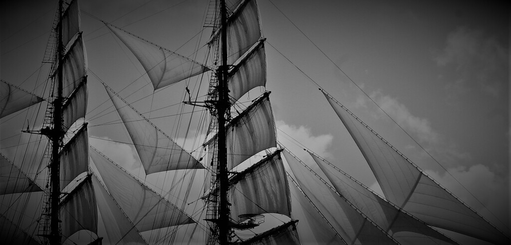 only the winds