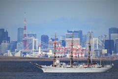 青空の下で
