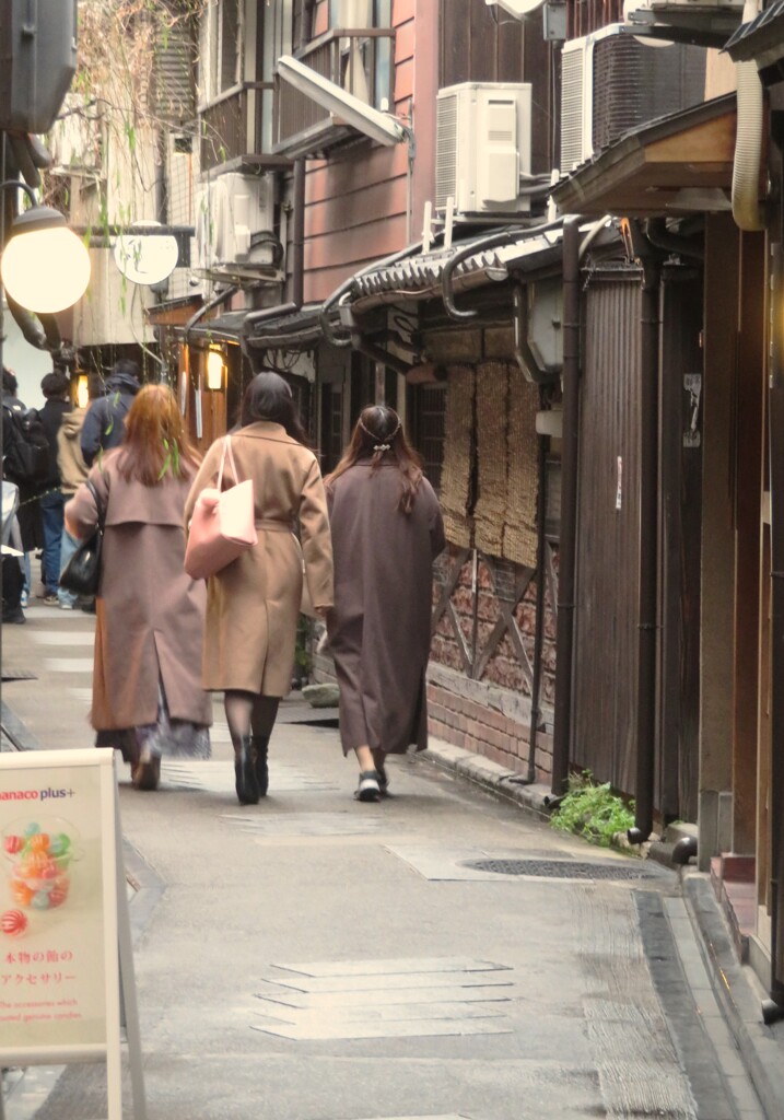 おいで　おいで