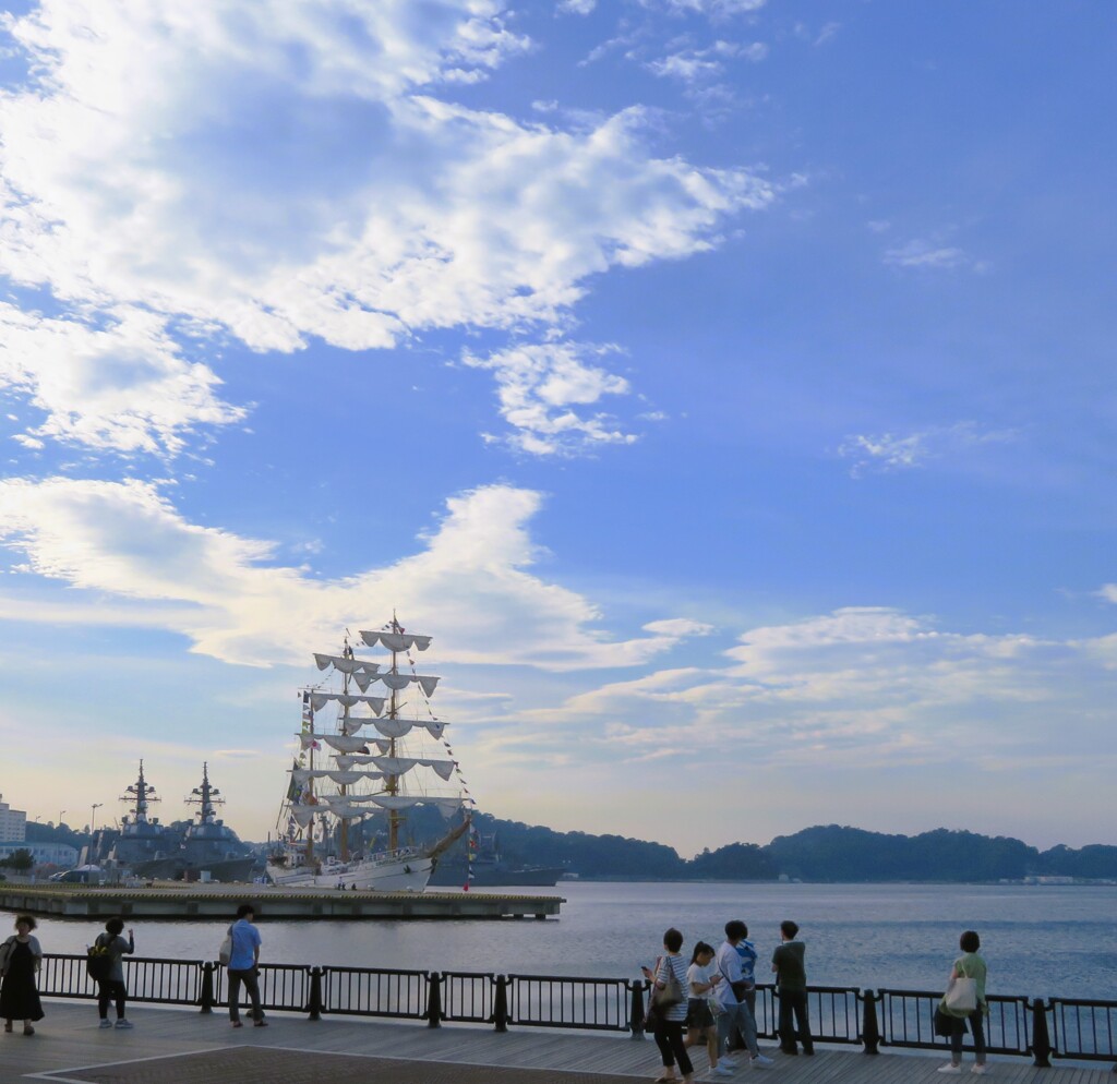 夢で逢えたら