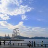 夢で逢えたら