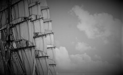 only the winds