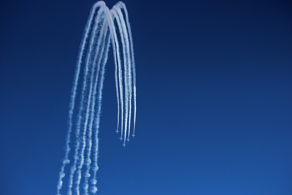 青空に枝垂れ柳