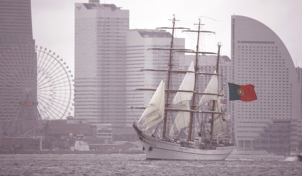 横浜港でセイリング①