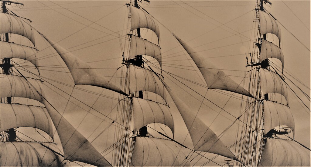 only the winds