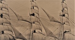 only the winds