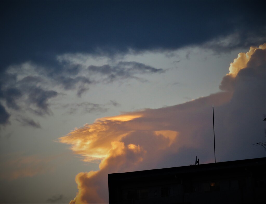 黄金雲