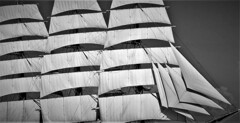 only the winds
