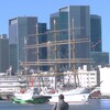 夢で逢えたら