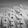 only the winds