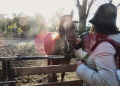 代々木の馬